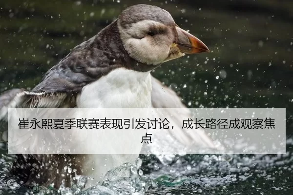 崔永熙夏季联赛表现引发讨论，成长路径成观察焦点